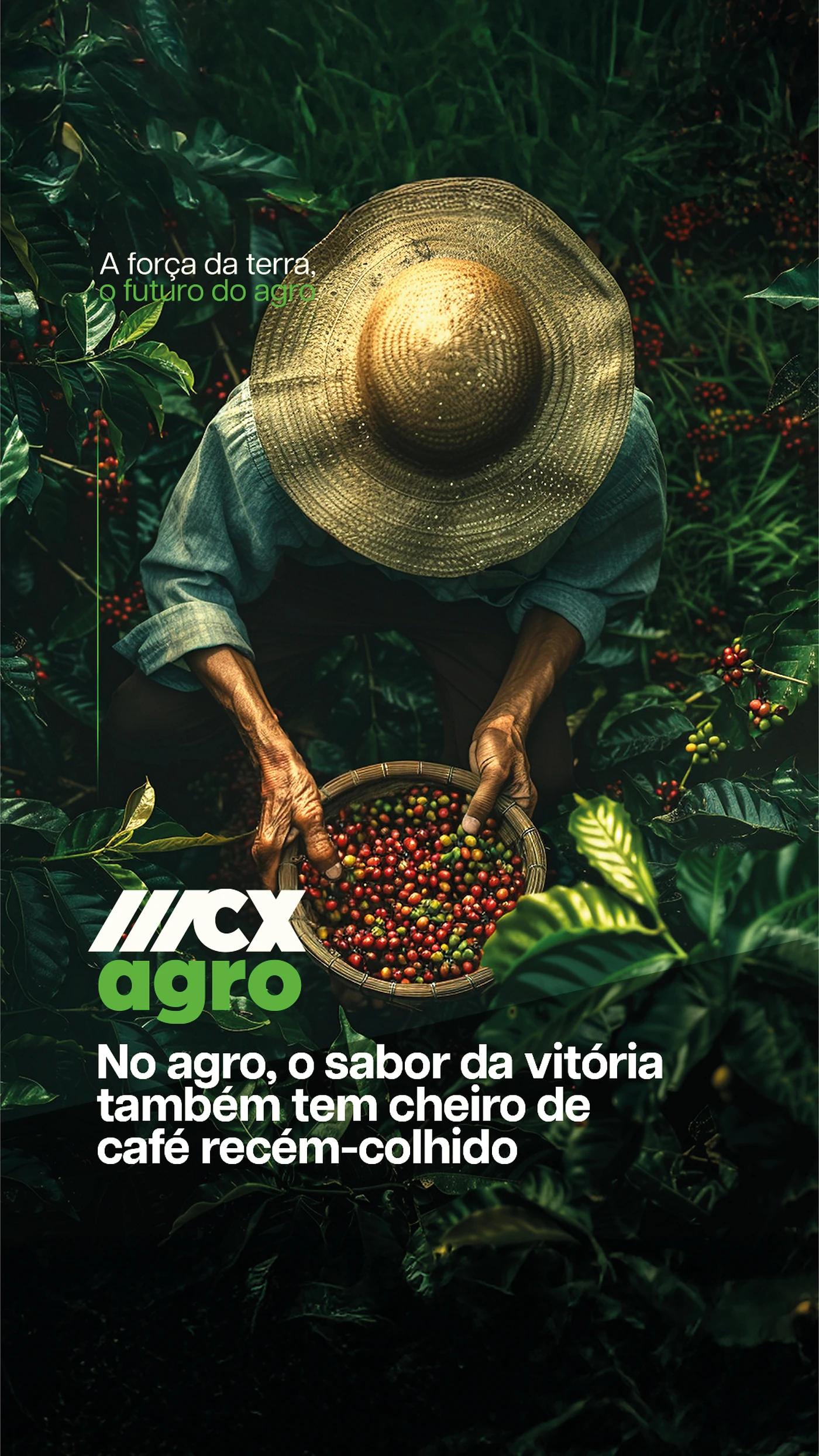 MCX Agro · Conteúdo