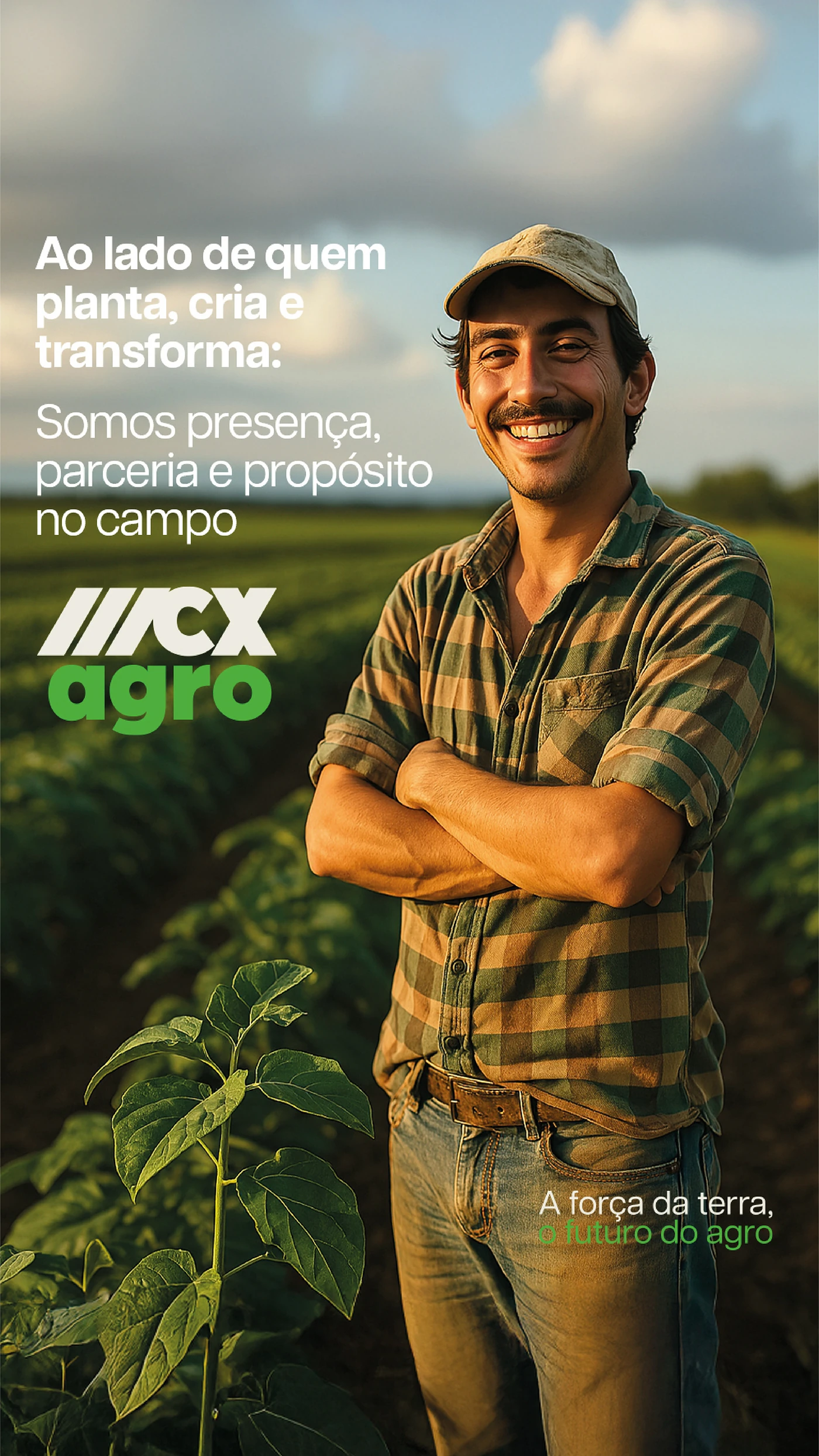 MCX Agro · Campanha
