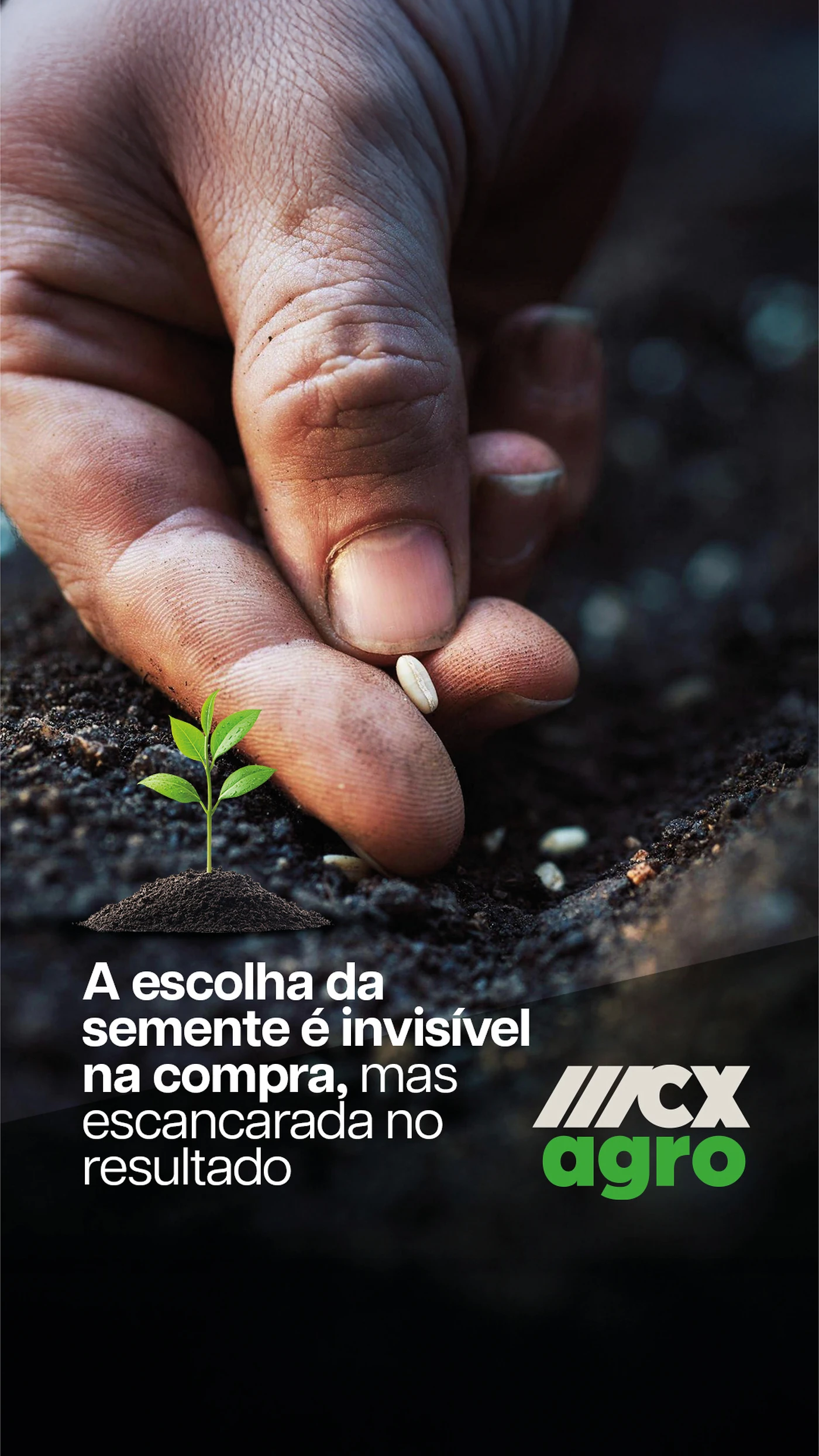 MCX Agro